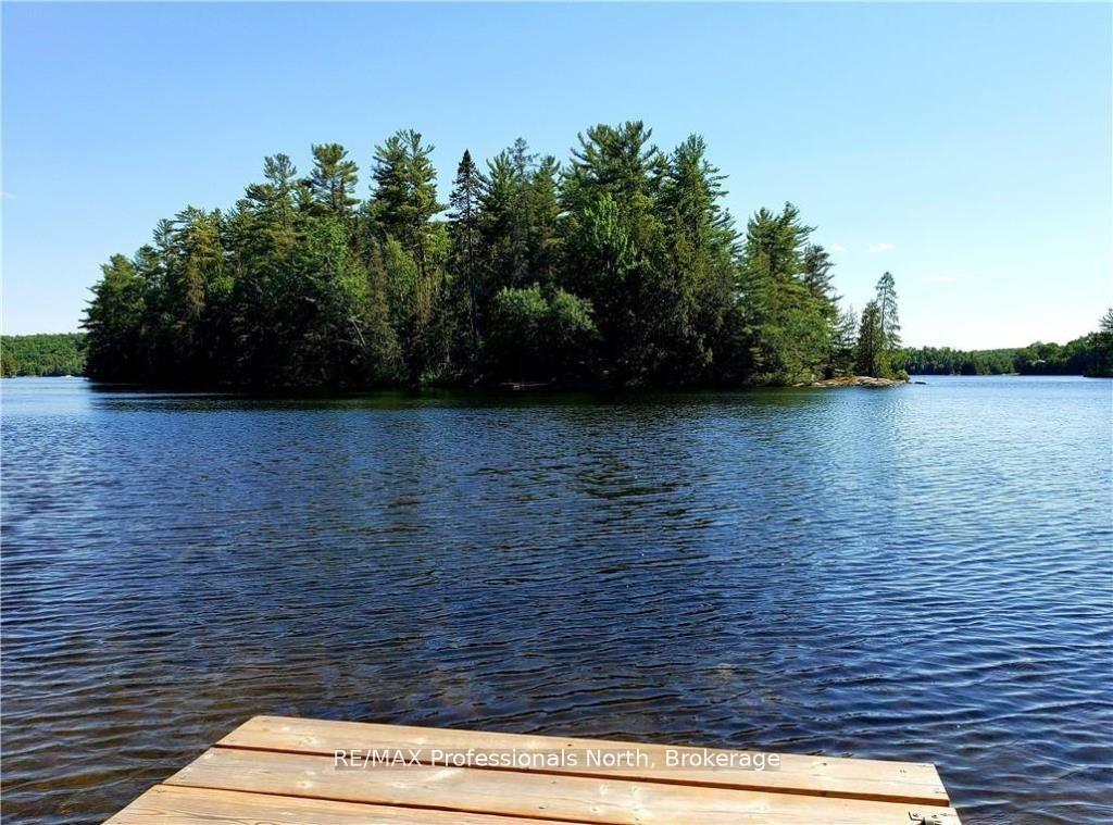 Photo 5 of Bucktooth, Perry — HOMEH