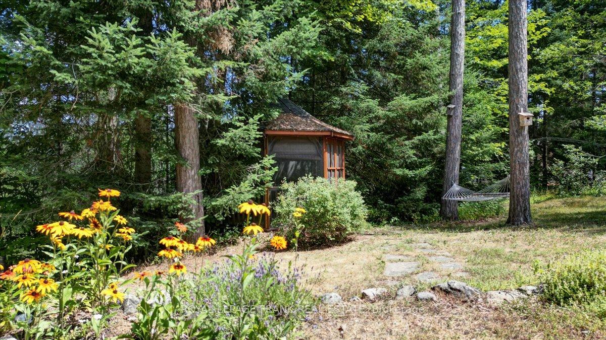 Photo 38 of 119 McFadden Road, North Kawartha — HOMEH