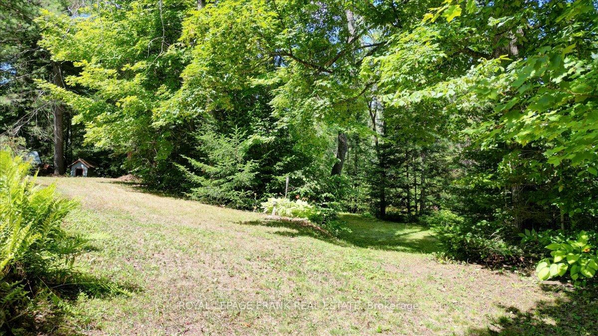 Photo 41 of 119 McFadden Road, North Kawartha — HOMEH
