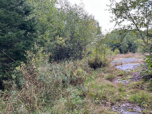 Photo 10 of 2000 Alsace Road, Nipissing — HOMEH