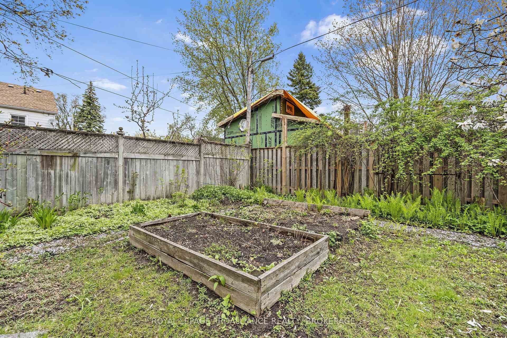 Photo 42 of 243 Helen Street, Kingston, Central City East — HOMEH