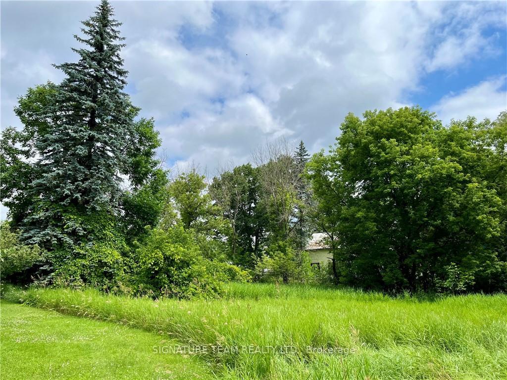 Photo 4 of Pt Lt 4 Lake Dore Road, North Algona Wilberforce, North Algona/Wilberforce Twp — HOMEH