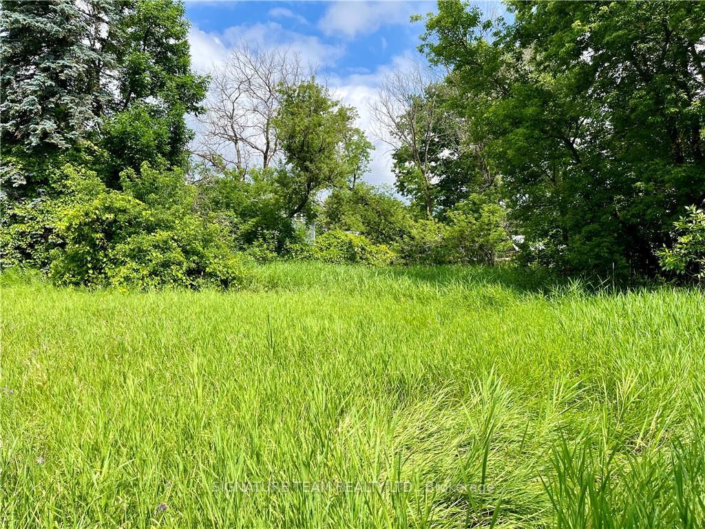 Photo 5 of Pt Lt 4 Lake Dore Road, North Algona Wilberforce, North Algona/Wilberforce Twp — HOMEH