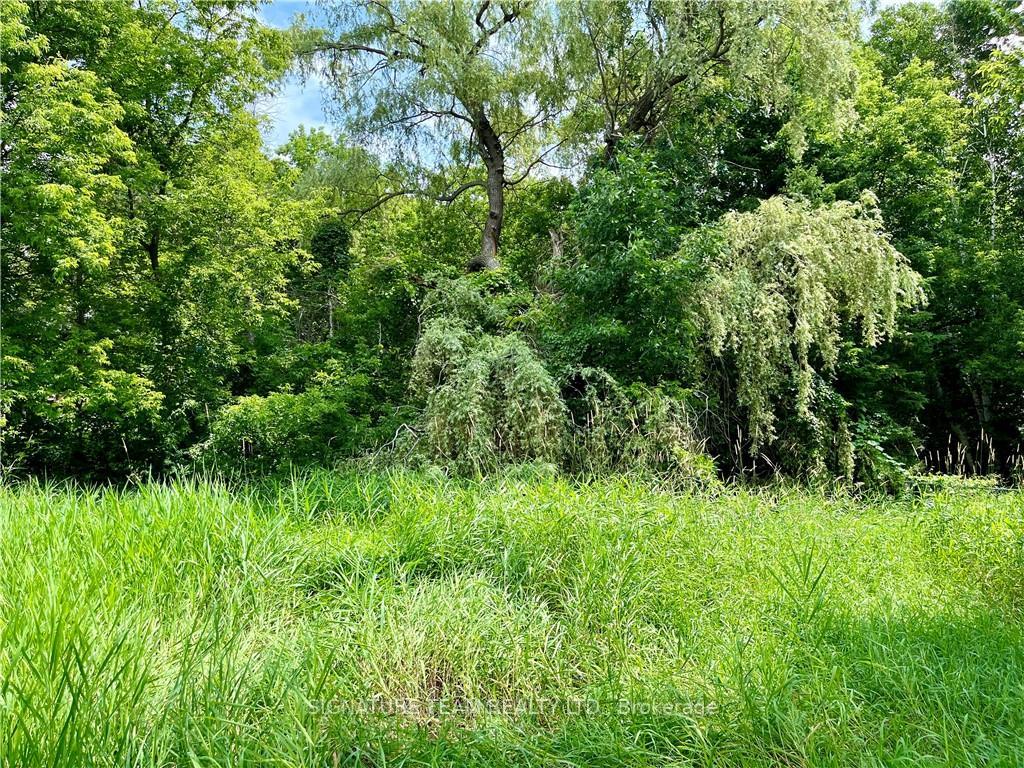 Photo 6 of Pt Lt 4 Lake Dore Road, North Algona Wilberforce, North Algona/Wilberforce Twp — HOMEH