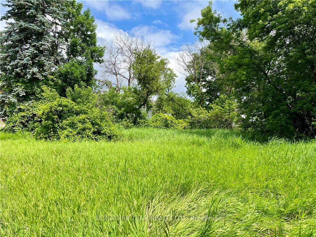 Photo 7 of Pt Lt 4 Lake Dore Road, North Algona Wilberforce, North Algona/Wilberforce Twp — HOMEH