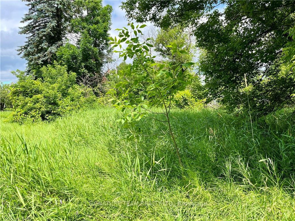 Photo 8 of Pt Lt 4 Lake Dore Road, North Algona Wilberforce, North Algona/Wilberforce Twp — HOMEH