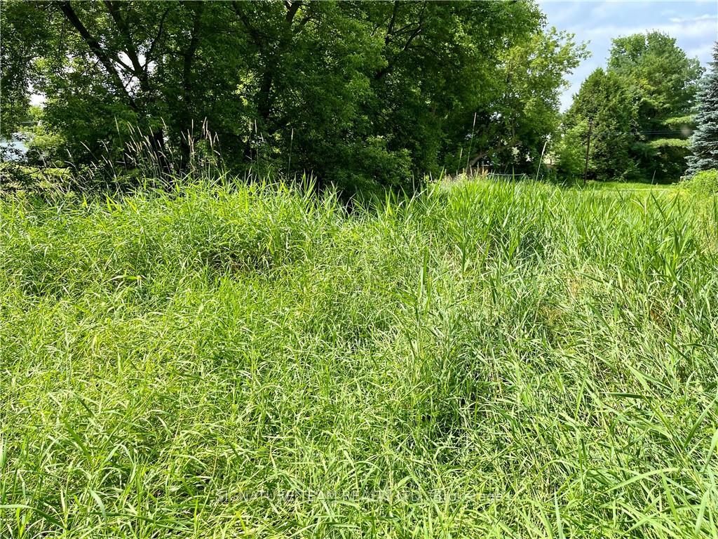 Photo 9 of Pt Lt 4 Lake Dore Road, North Algona Wilberforce, North Algona/Wilberforce Twp — HOMEH