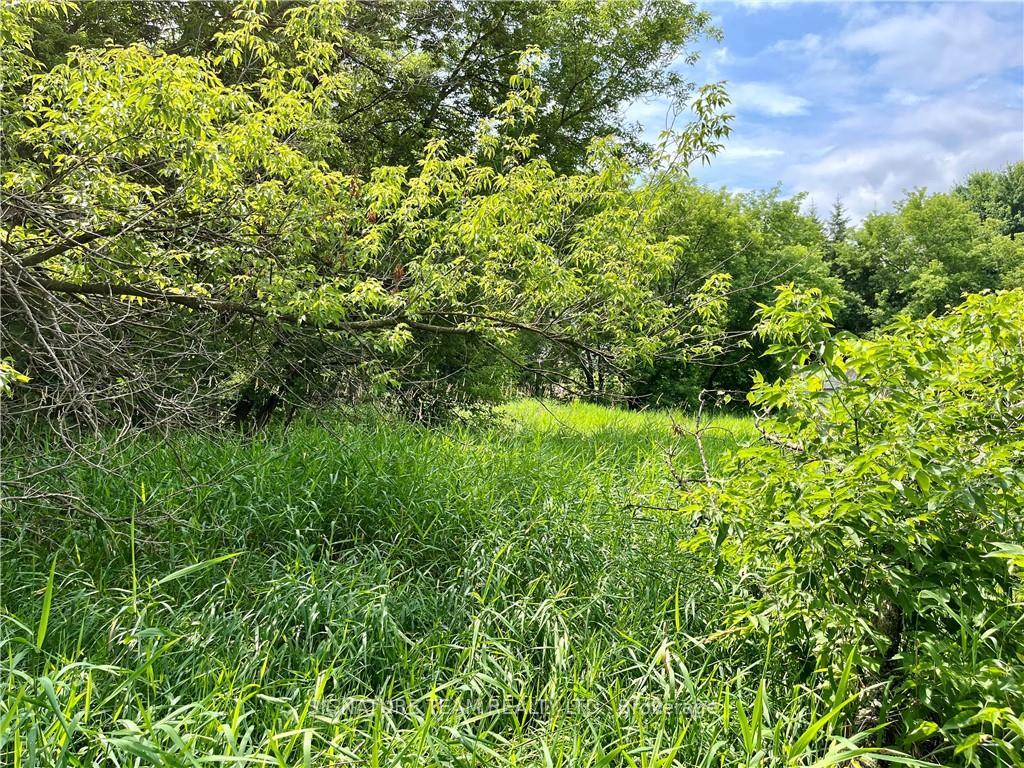 Photo 10 of Pt Lt 4 Lake Dore Road, North Algona Wilberforce, North Algona/Wilberforce Twp — HOMEH