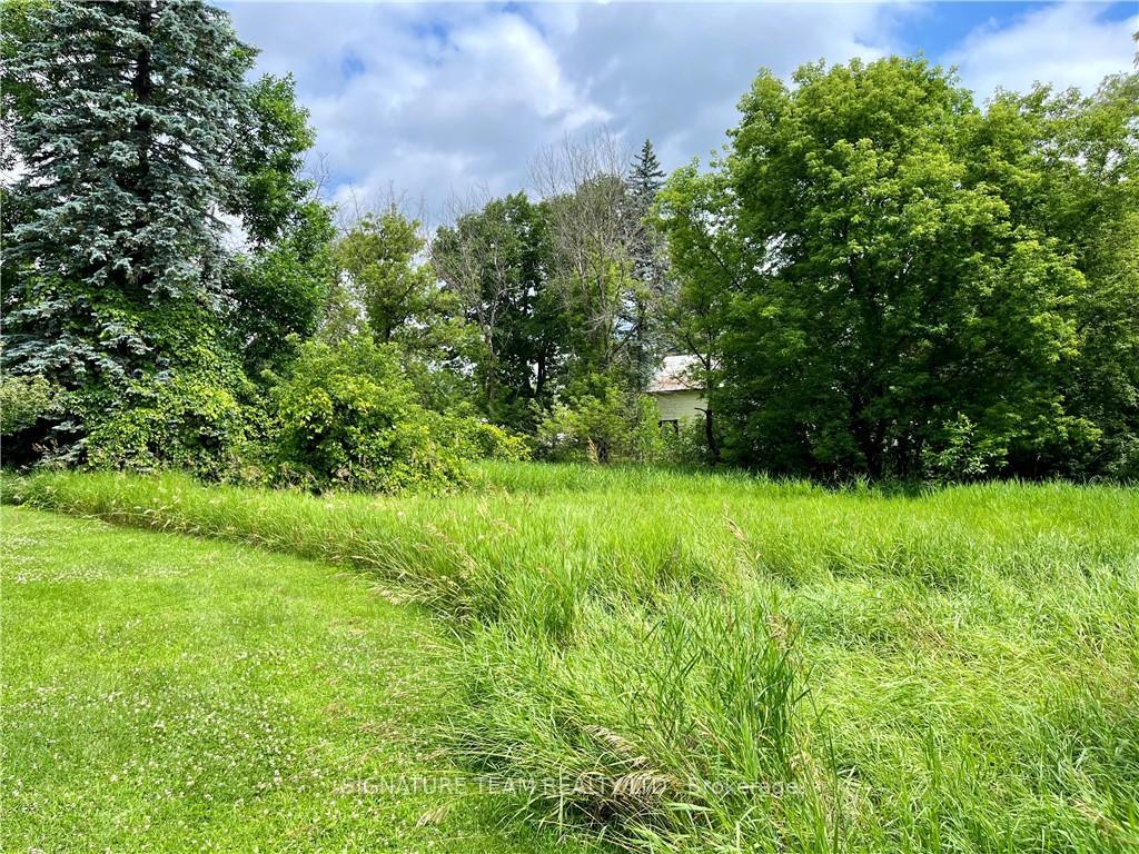 Photo 11 of Pt Lt 4 Lake Dore Road, North Algona Wilberforce, North Algona/Wilberforce Twp — HOMEH