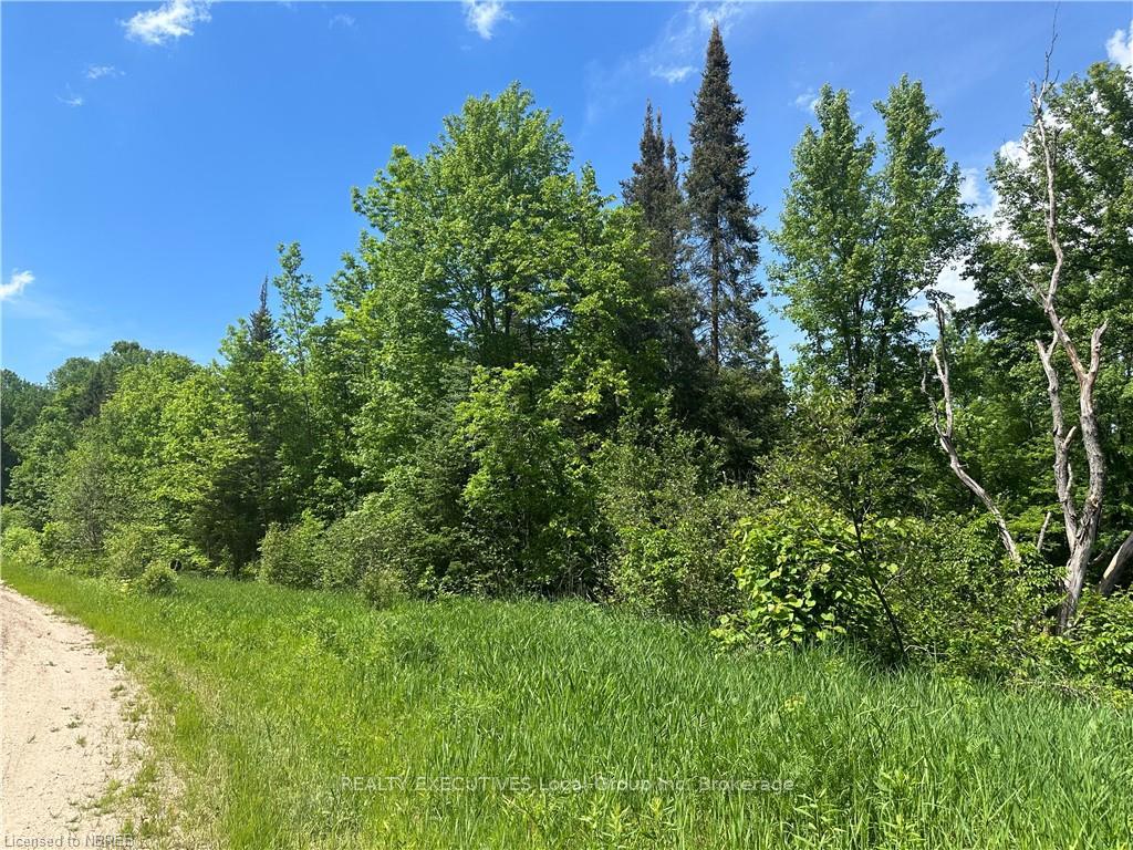 Photo 1 of LT 15 South River Road, Nipissing — HOMEH