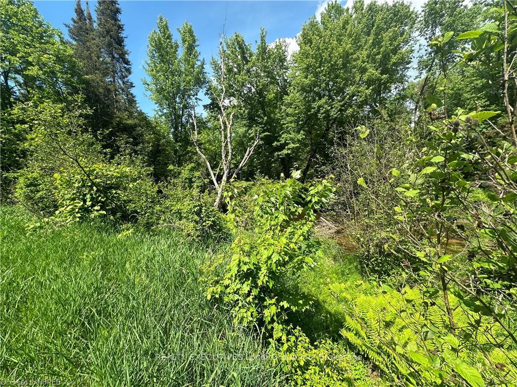 Photo 4 of LT 15 South River Road, Nipissing — HOMEH