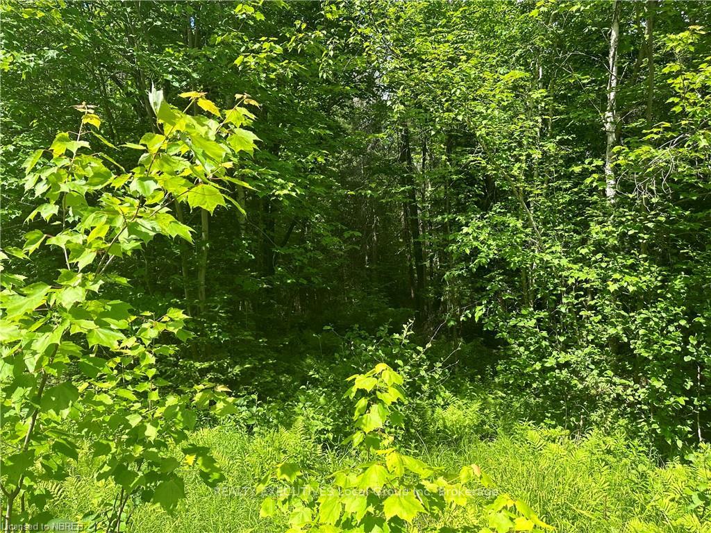 Photo 5 of LT 15 South River Road, Nipissing — HOMEH