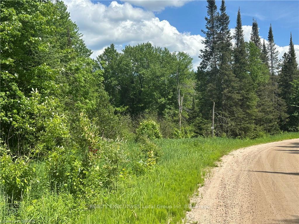 Photo 6 of LT 15 South River Road, Nipissing — HOMEH