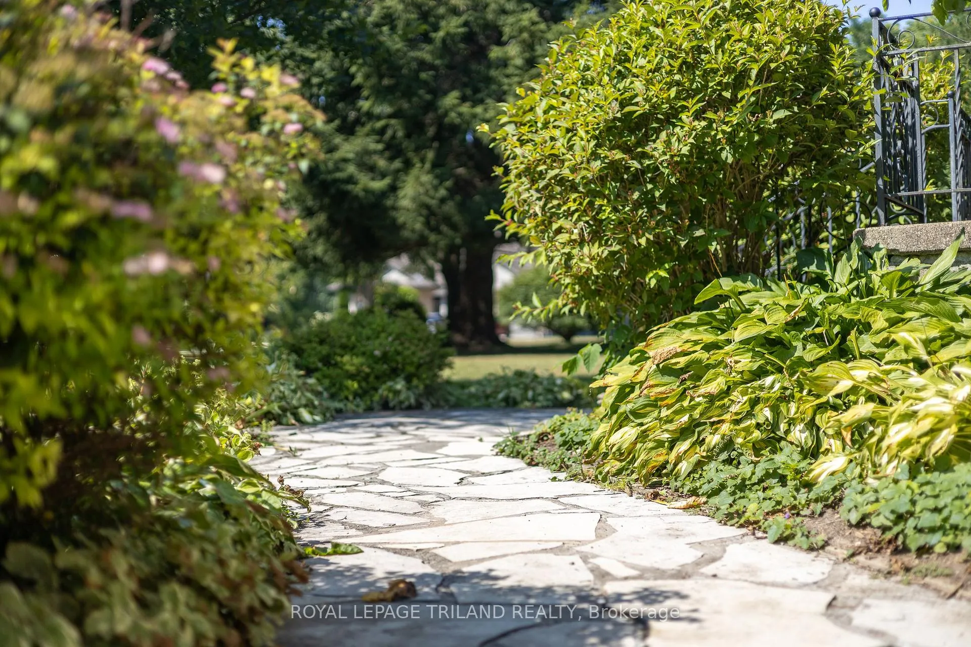 Photo 8 of 264 George Street, North Middlesex, Parkhill — HOMEH