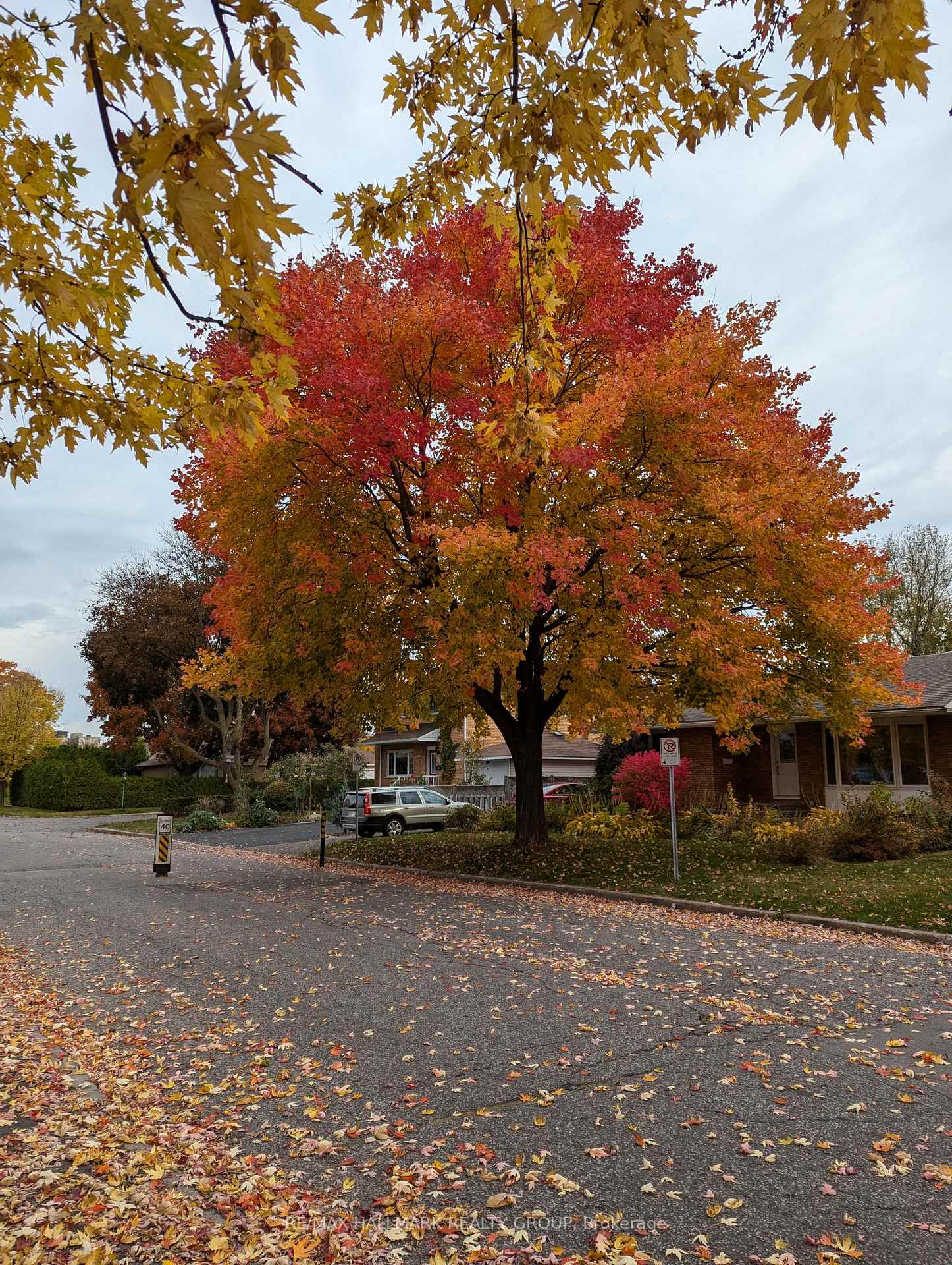 Photo 30 of 789 Claude Street, Ottawa, Castle Heights/Rideau High — HOMEH