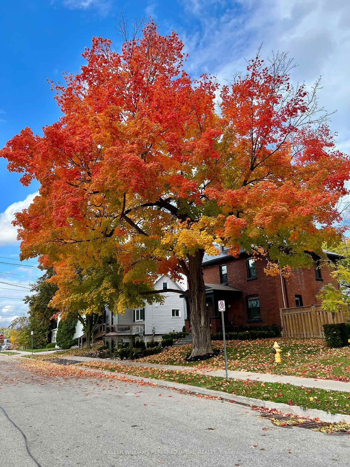 Photo 37 of 93 Concession Street, Newmarket, Central Newmarket — HOMEH