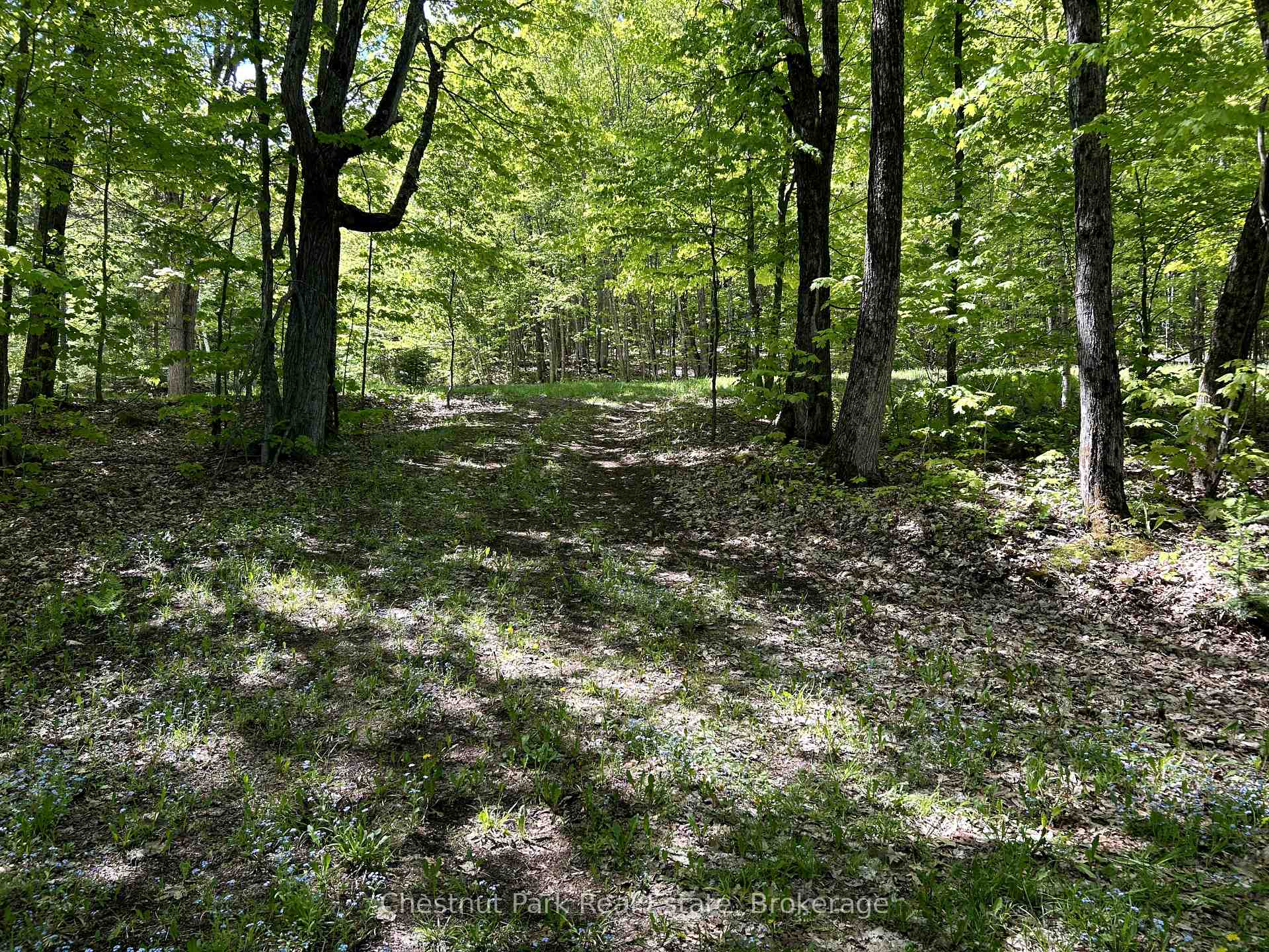 Photo 26 of 855 Limberlost Point Road, Parry Sound Remote Area, Restoule — HOMEH