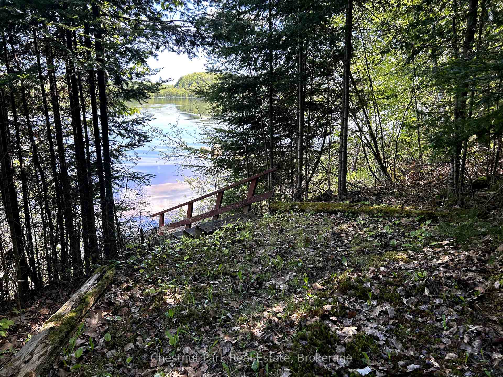 Photo 29 of 855 Limberlost Point Road, Parry Sound Remote Area, Restoule — HOMEH