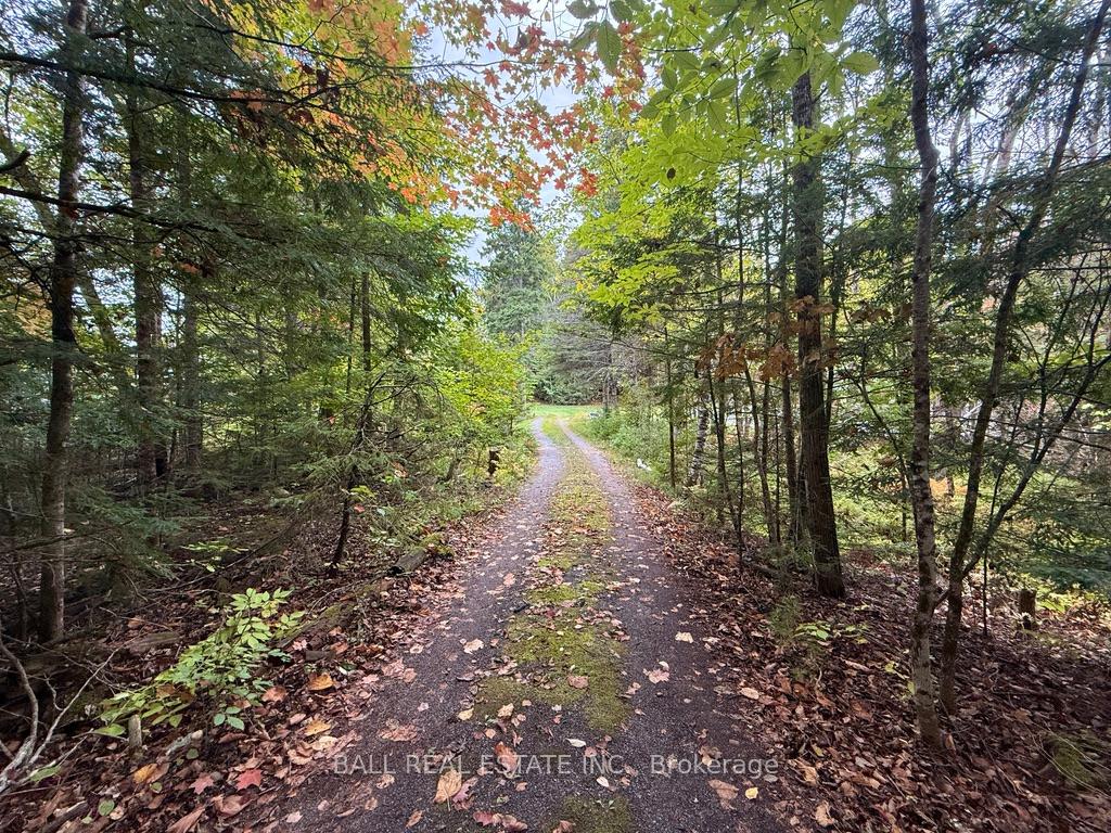 Photo 7 of 190 Maple Lane, North Kawartha — HOMEH