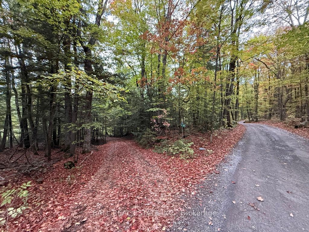 Photo 33 of 190 Maple Lane, North Kawartha — HOMEH