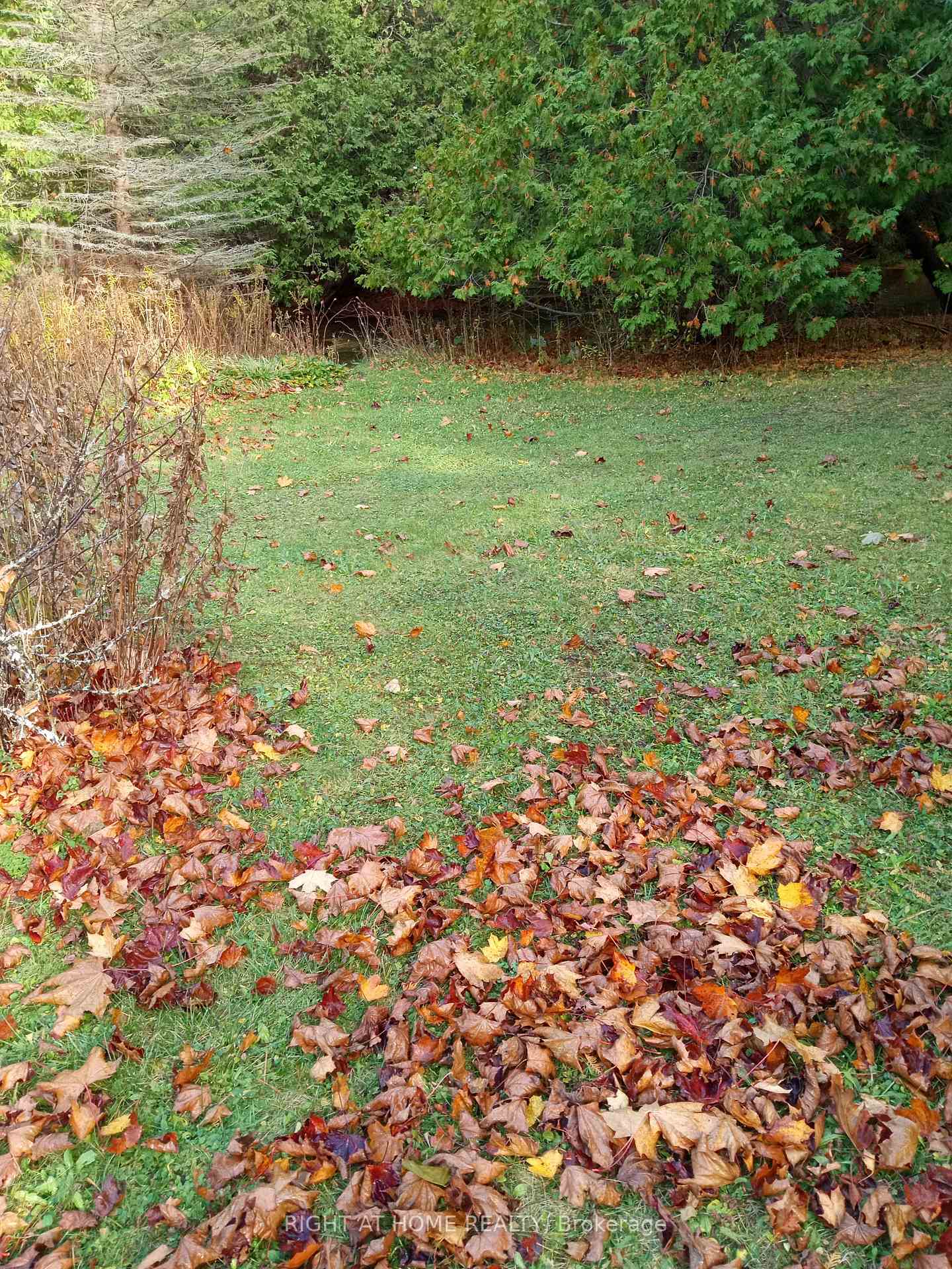 Photo 4 of 7 pine river Crescent, Mulmur, Rural Mulmur — HOMEH