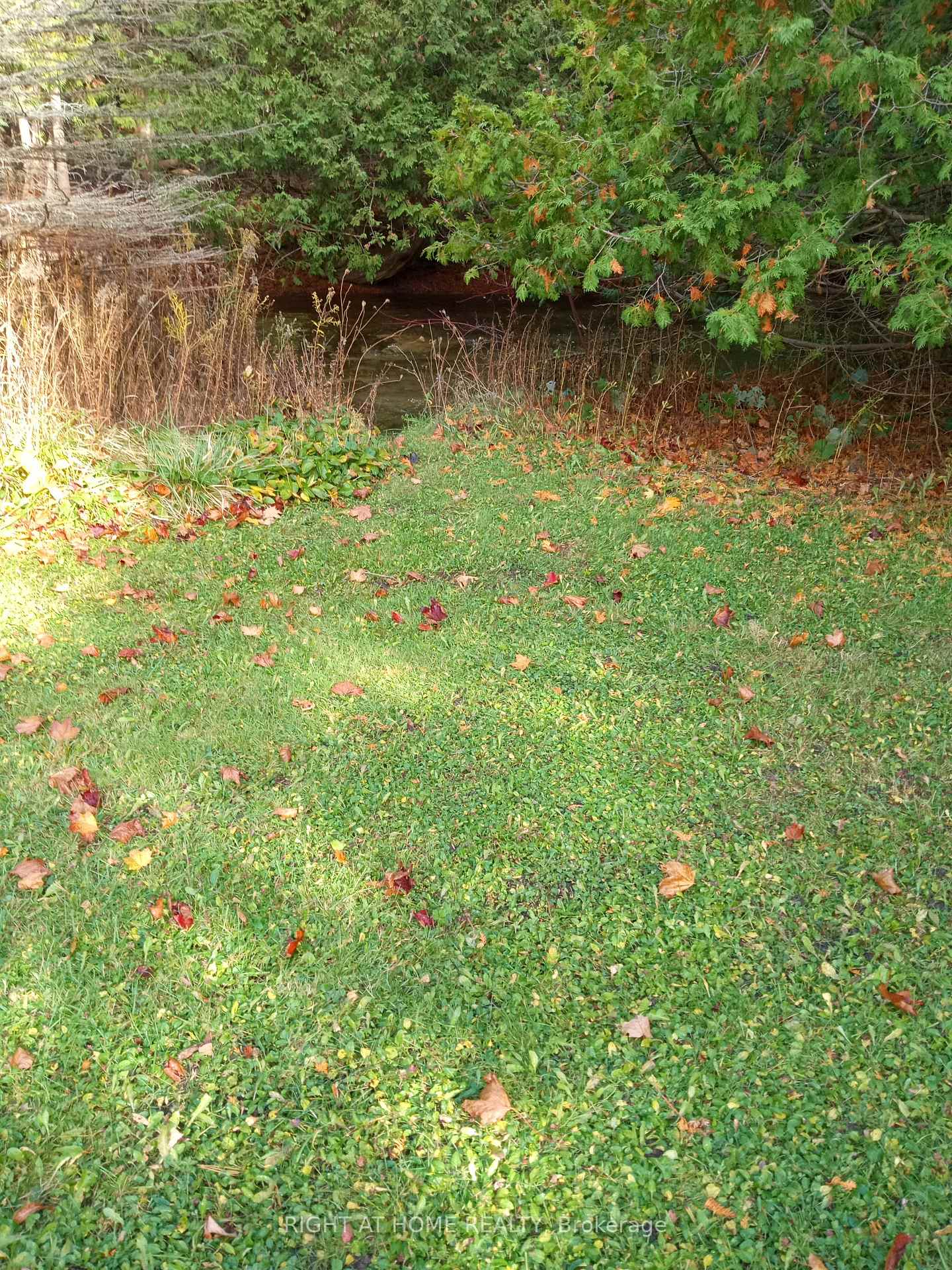 Photo 5 of 7 pine river Crescent, Mulmur, Rural Mulmur — HOMEH