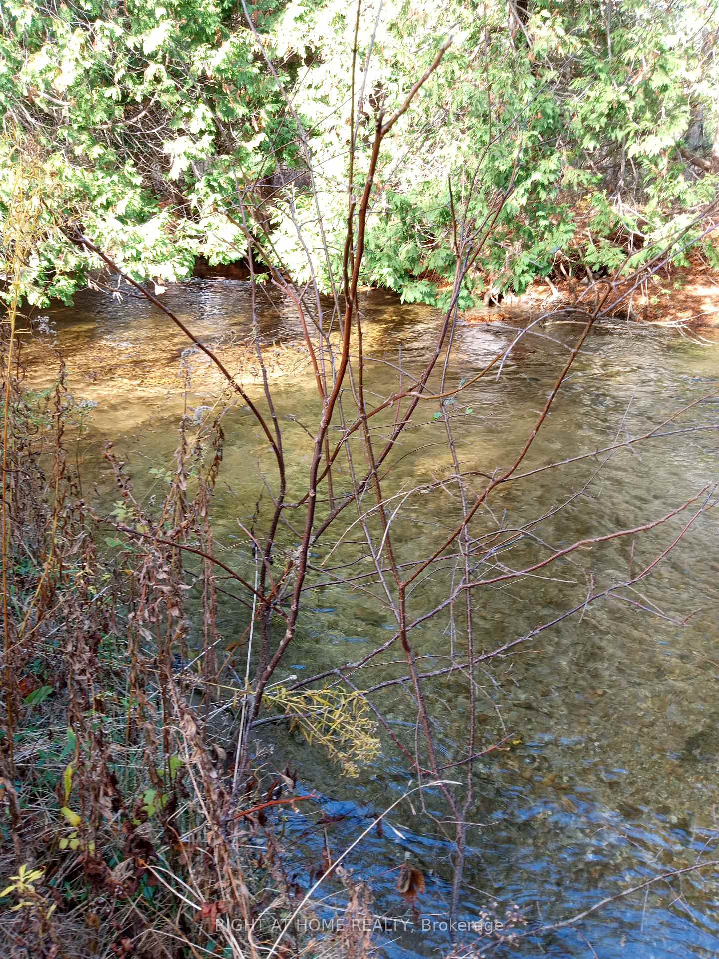 Photo 6 of 7 pine river Crescent, Mulmur, Rural Mulmur — HOMEH