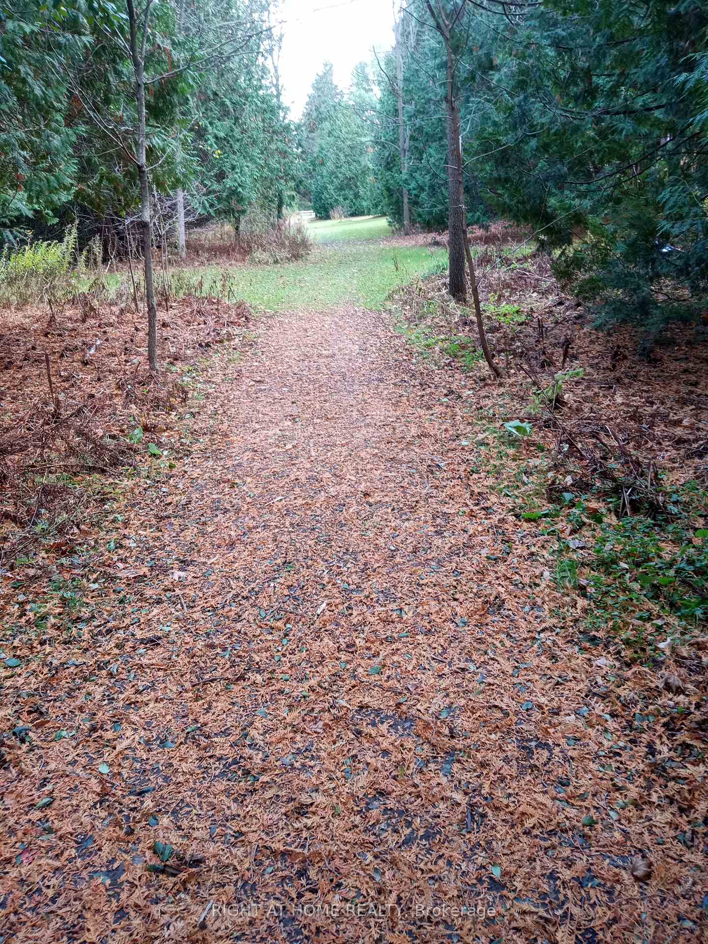 Photo 8 of 7 pine river Crescent, Mulmur, Rural Mulmur — HOMEH
