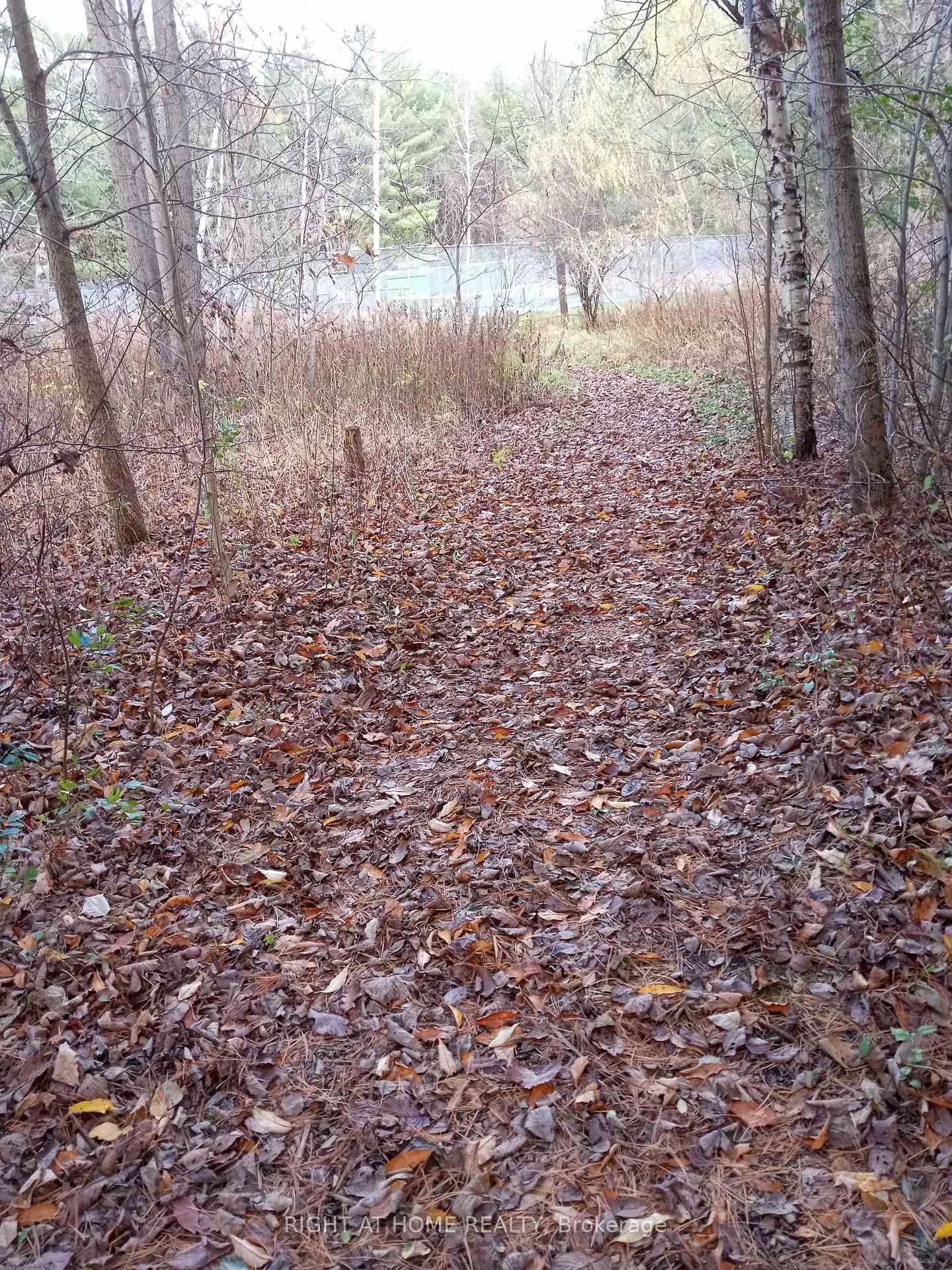 Photo 20 of 7 pine river Crescent, Mulmur, Rural Mulmur — HOMEH
