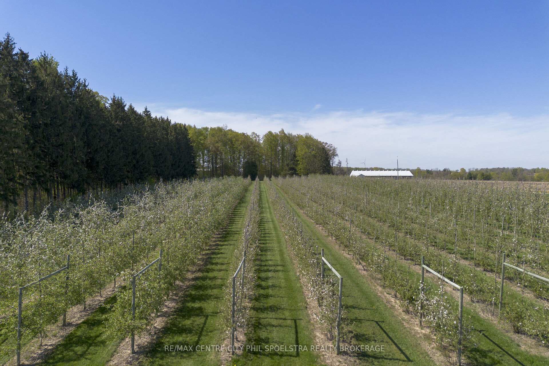 Photo 7 of 1355 Ausable Road, North Middlesex, Rural North Middlesex — HOMEH