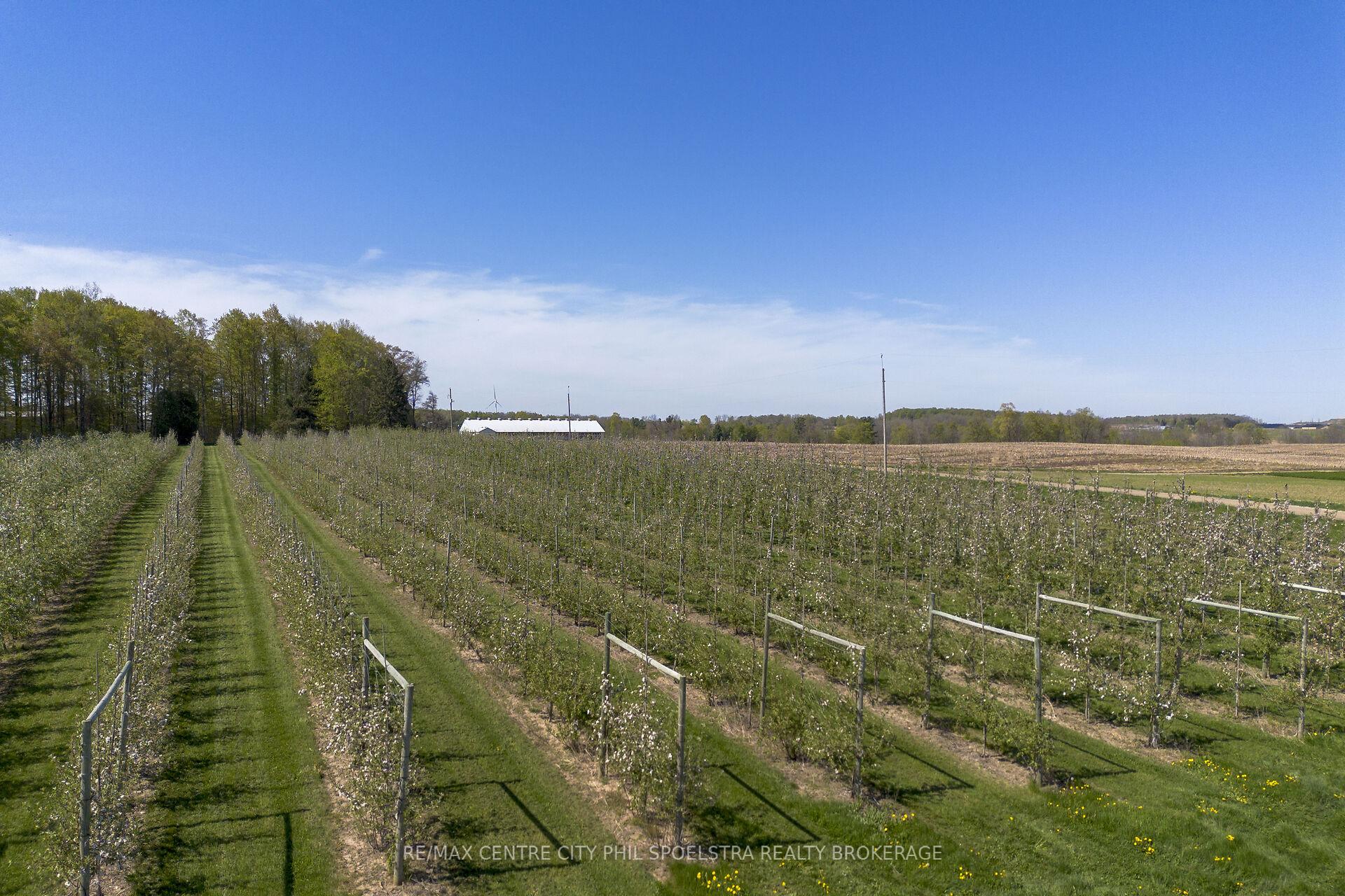Photo 8 of 1355 Ausable Road, North Middlesex, Rural North Middlesex — HOMEH