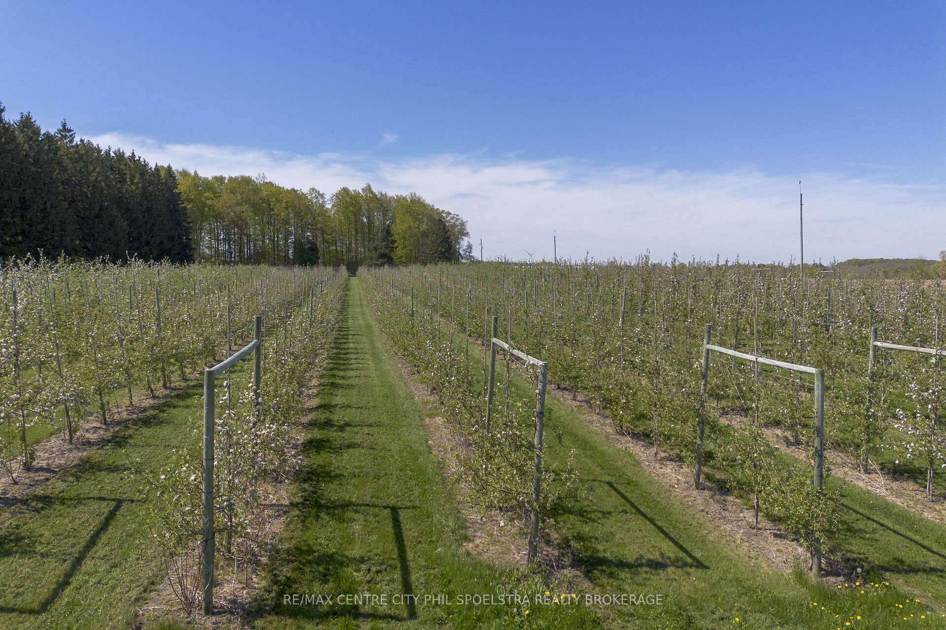 Photo 10 of 1355 Ausable Road, North Middlesex, Rural North Middlesex — HOMEH