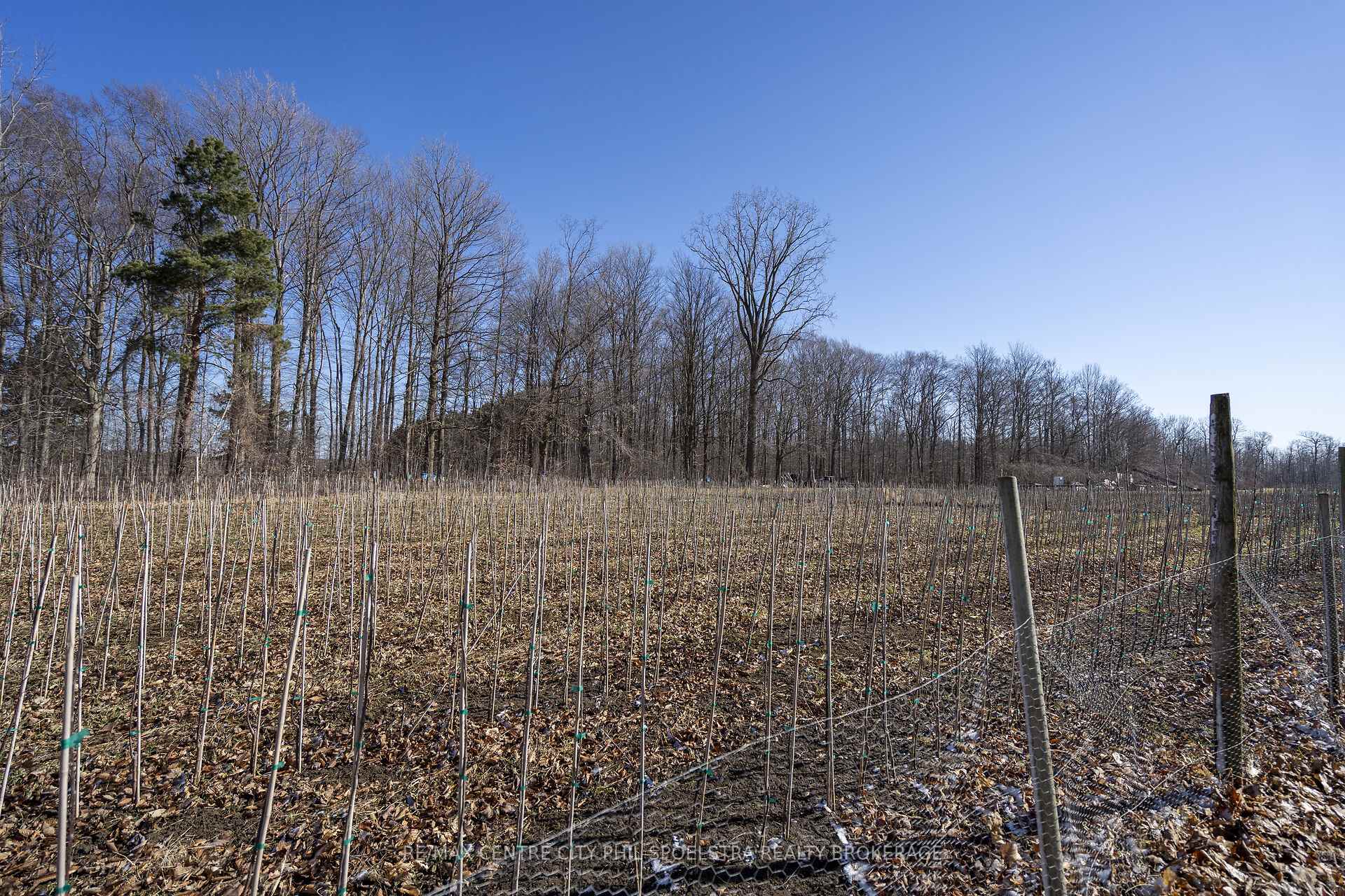 Photo 41 of 1355 Ausable Road, North Middlesex, Rural North Middlesex — HOMEH