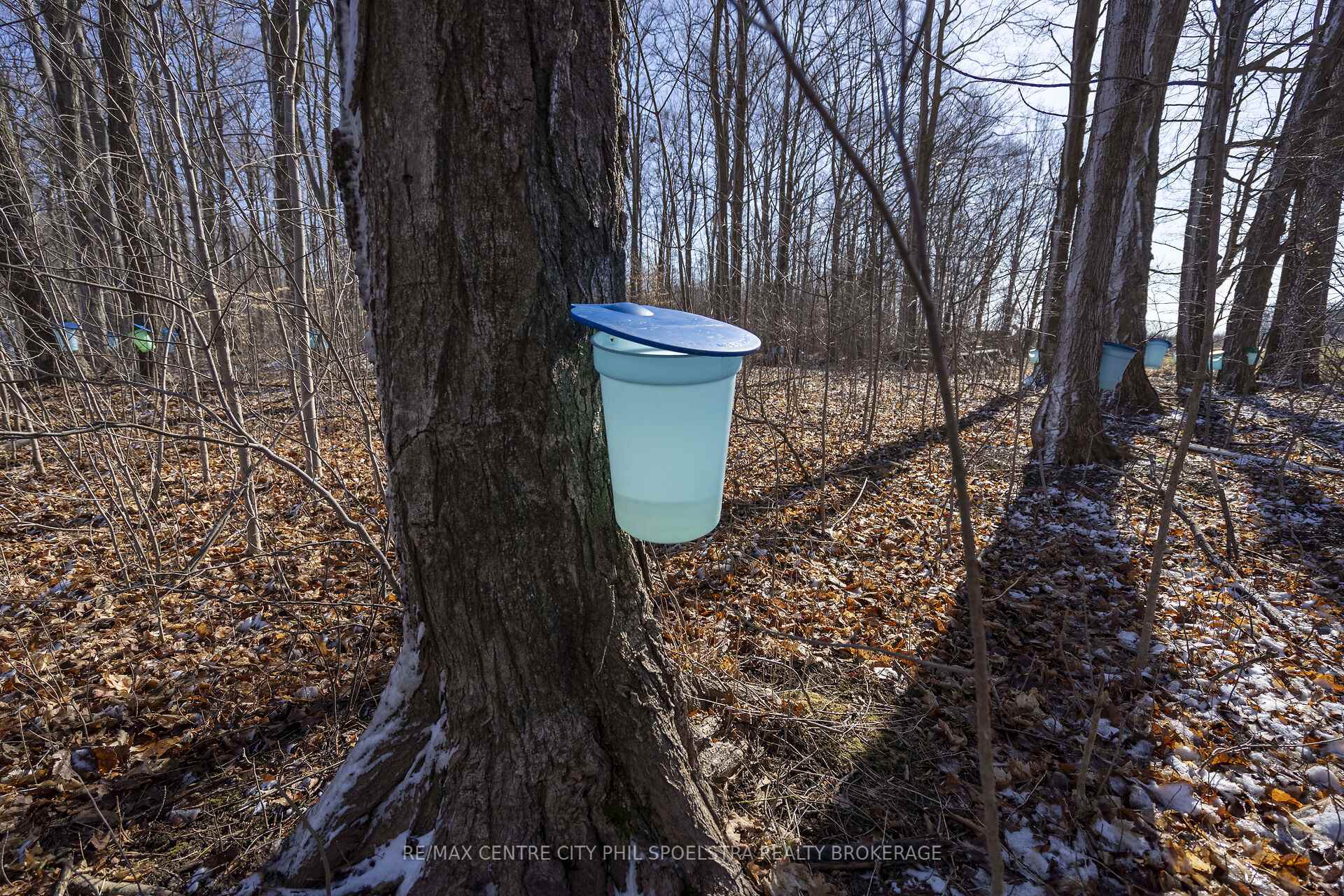 Photo 43 of 1355 Ausable Road, North Middlesex, Rural North Middlesex — HOMEH