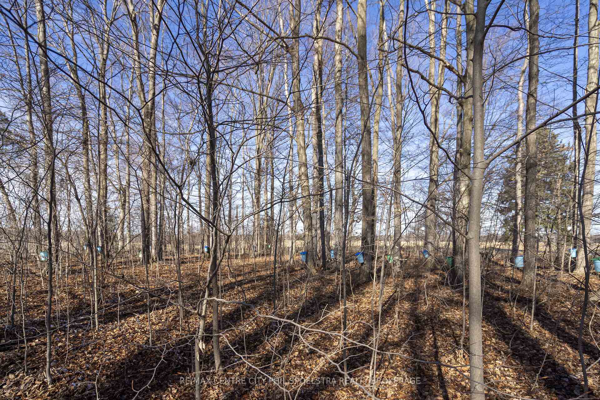 Photo 44 of 1355 Ausable Road, North Middlesex, Rural North Middlesex — HOMEH