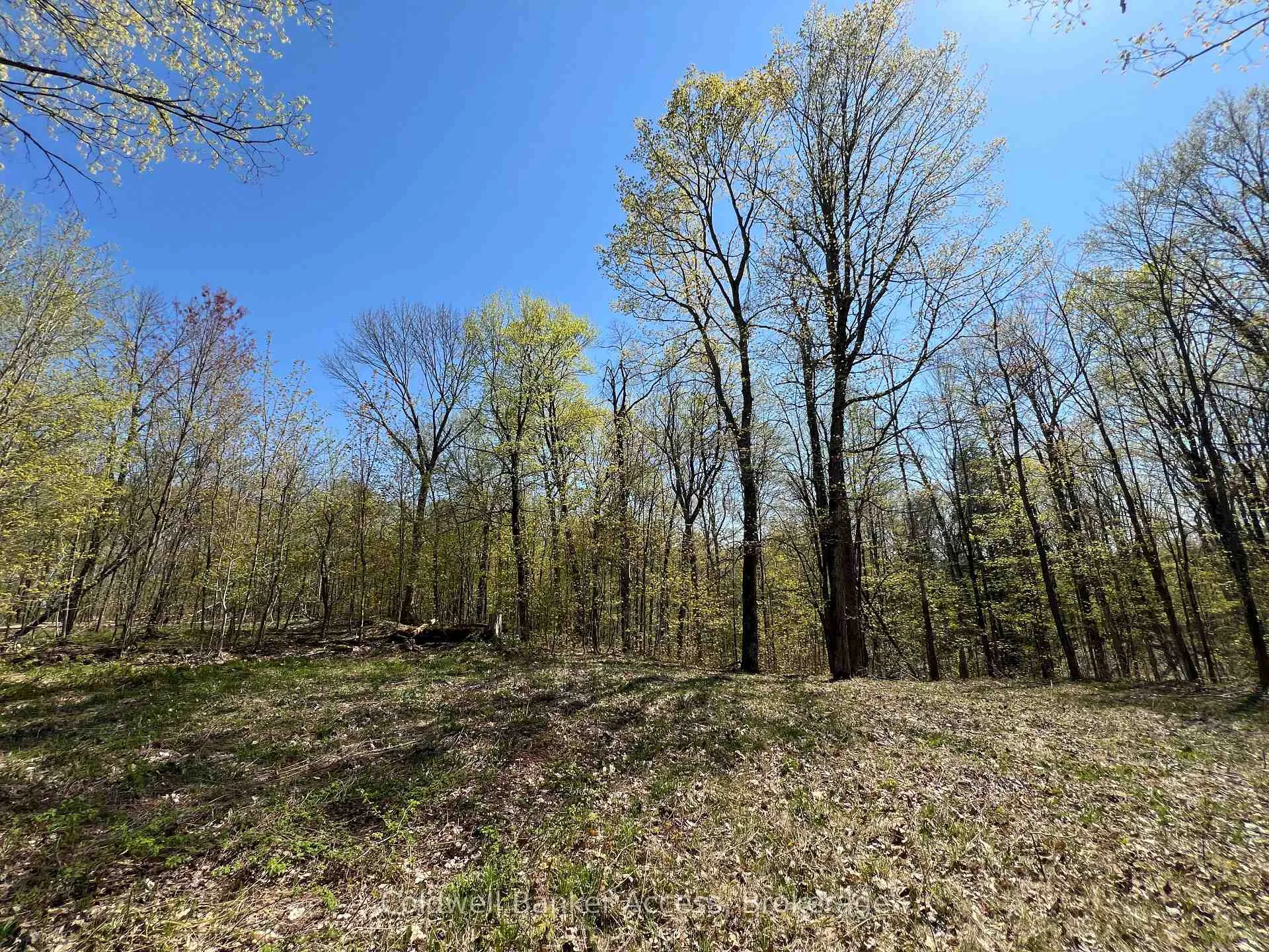 Photo of Unit 3, 1019 Carl'S Road