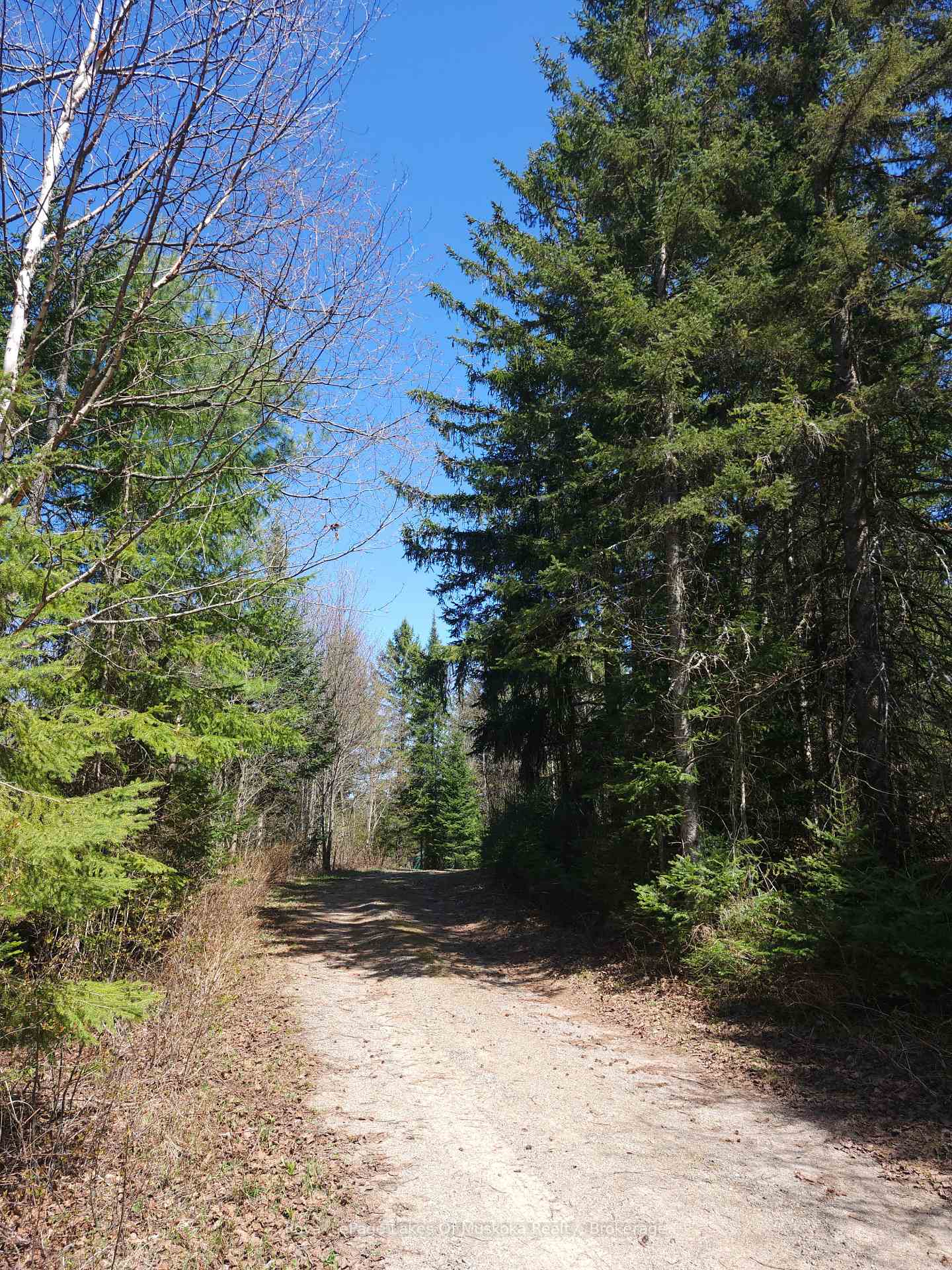 Photo 4 of Old Muskoka Road, Perry, Emsdale — HOMEH