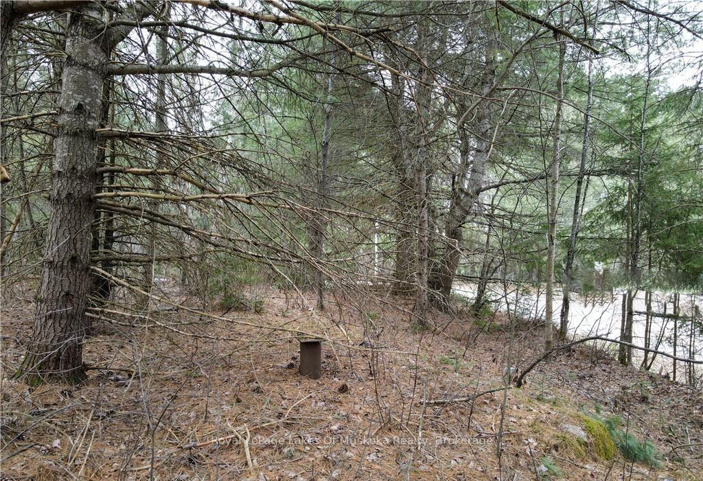 Photo 14 of Old Muskoka Road, Perry, Emsdale — HOMEH