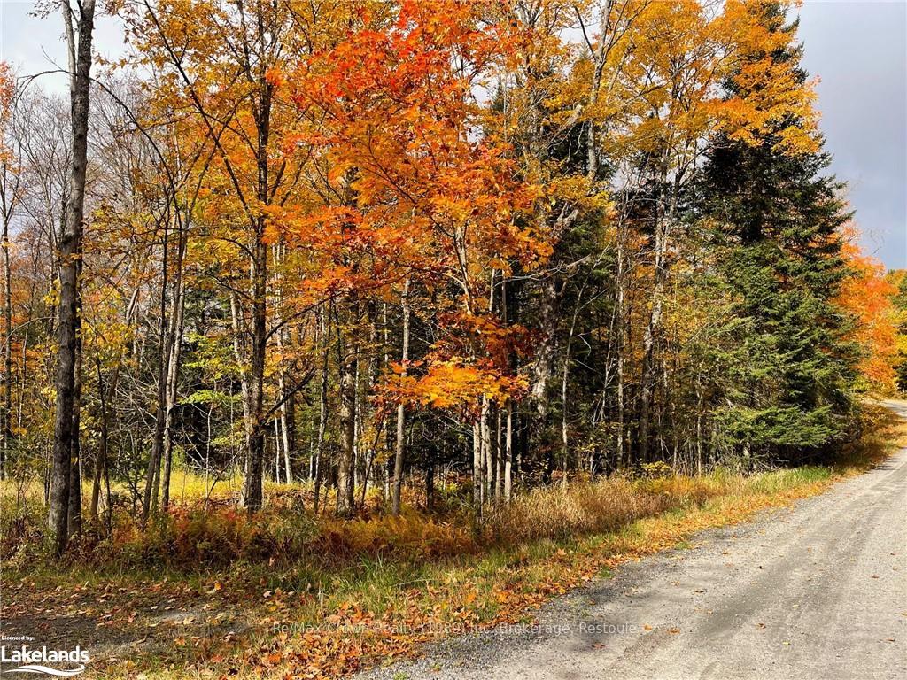 Photo 3 of 0A Pilgers Road, Nipissing — HOMEH
