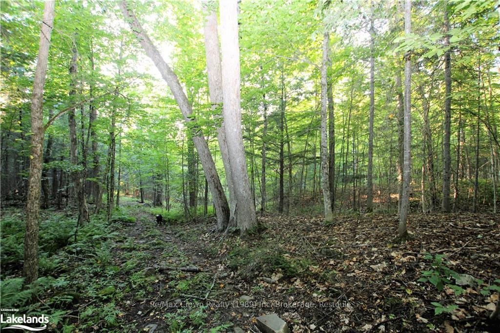 Photo 18 of 0A Pilgers Road, Nipissing — HOMEH