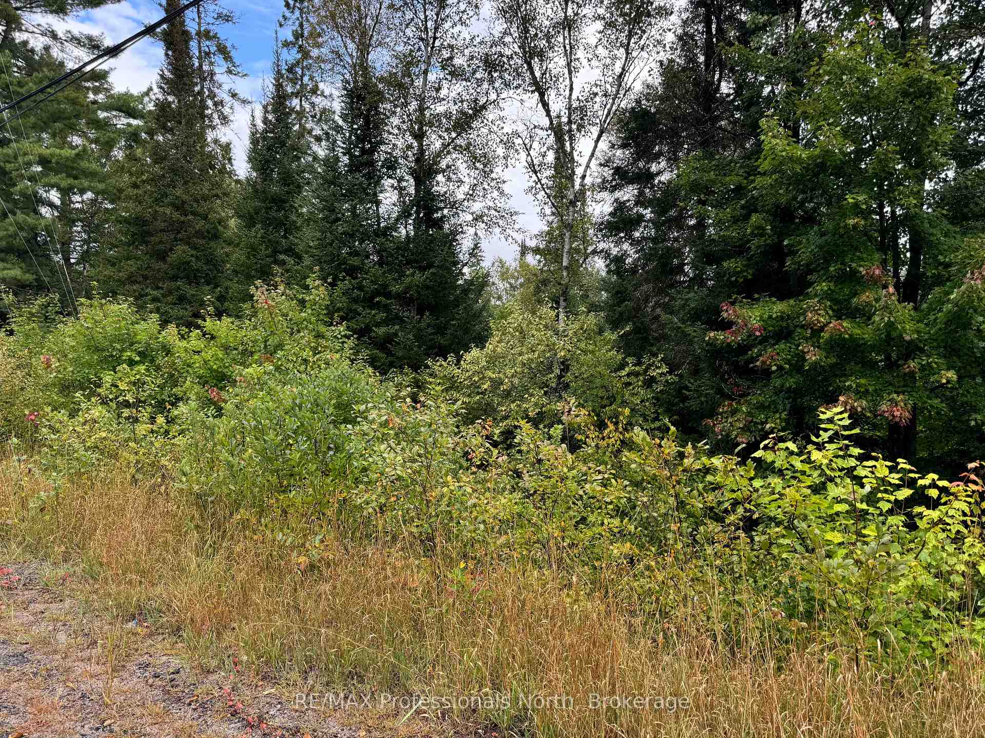 Photo 3 of Highway 592, Perry, Emsdale — HOMEH