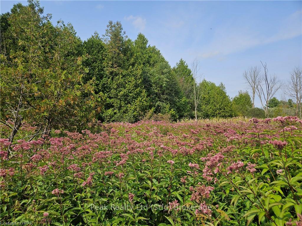 Photo 9 of 85043 Marnoch Line, North Huron, East Wawanosh — HOMEH