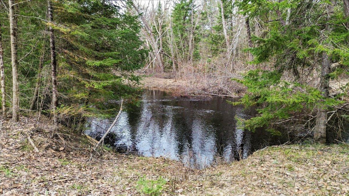 Photo 5 of 173 Lean Drive, North Kawartha — HOMEH