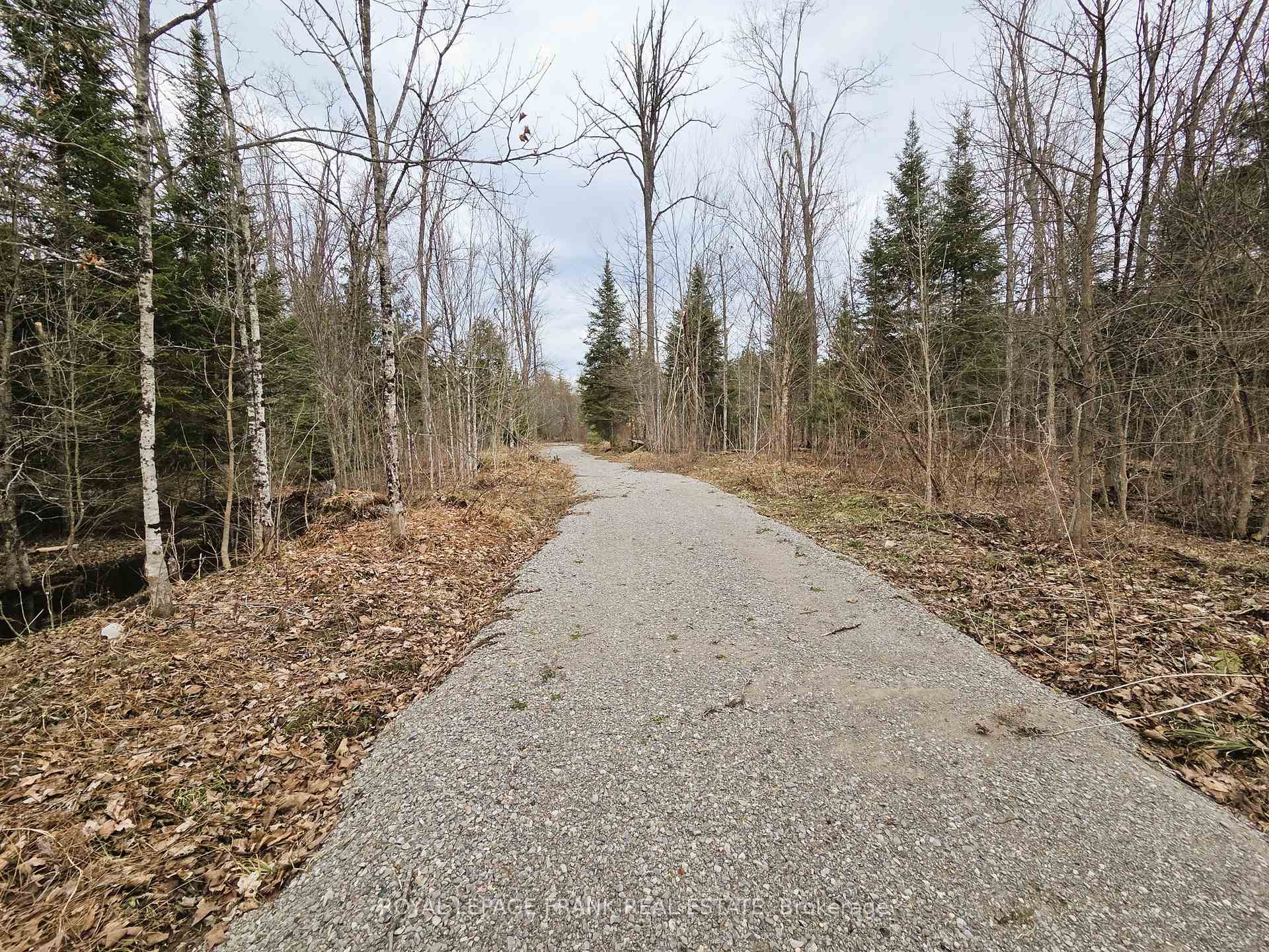 Photo 6 of 173 Lean Drive, North Kawartha — HOMEH