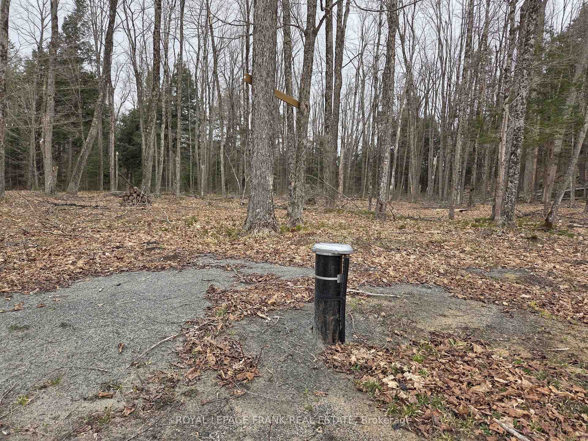 Photo 7 of 173 Lean Drive, North Kawartha — HOMEH