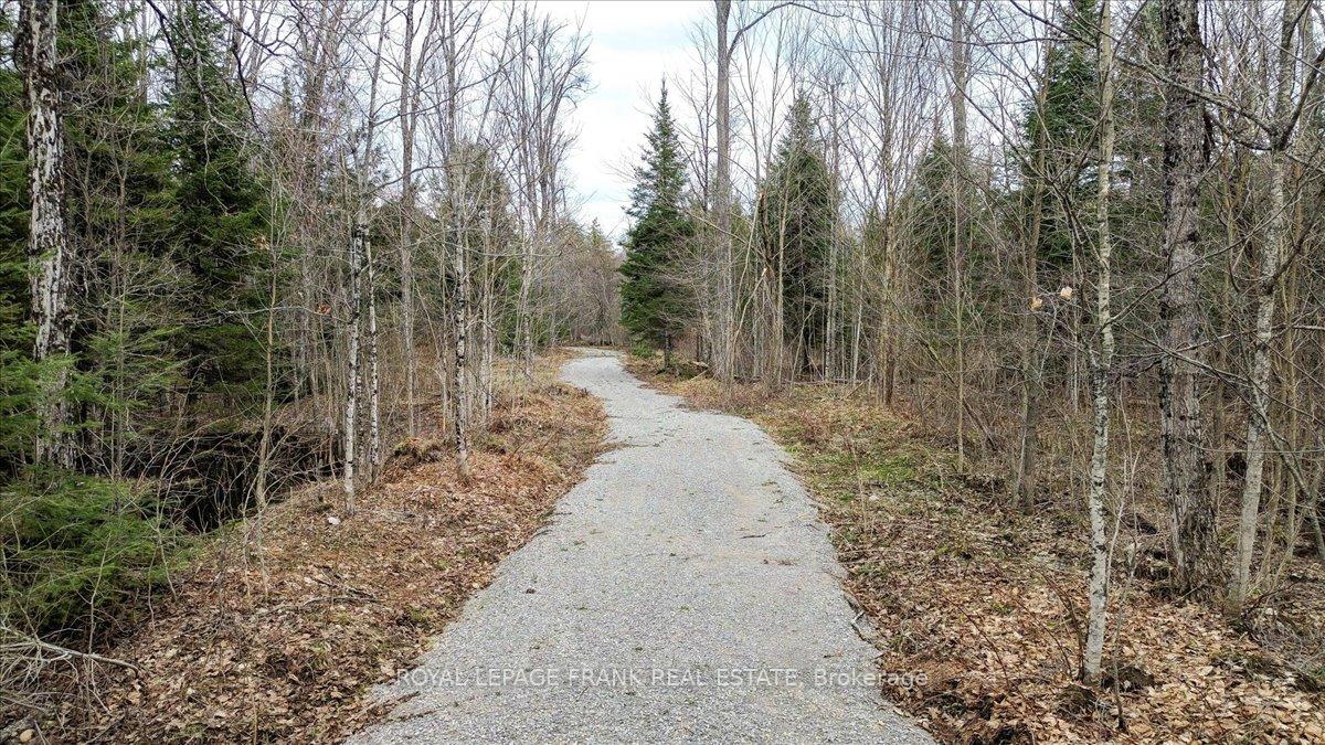 Photo 11 of 173 Lean Drive, North Kawartha — HOMEH