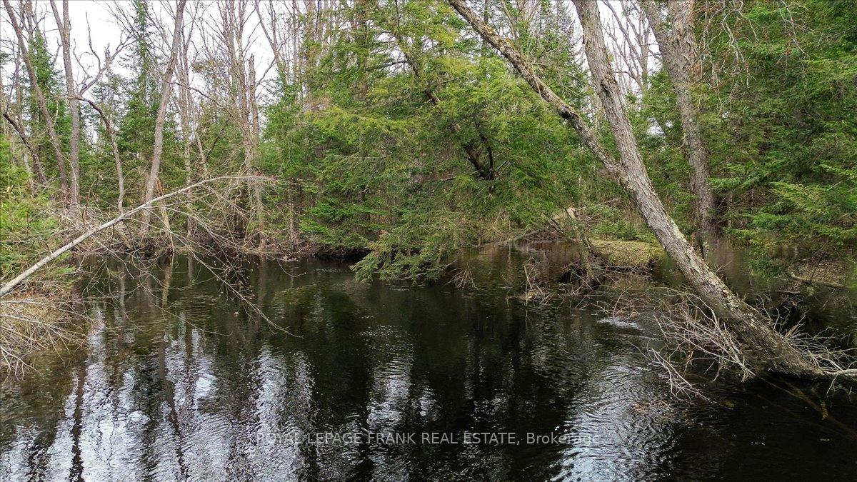 Photo 31 of 173 Lean Drive, North Kawartha — HOMEH