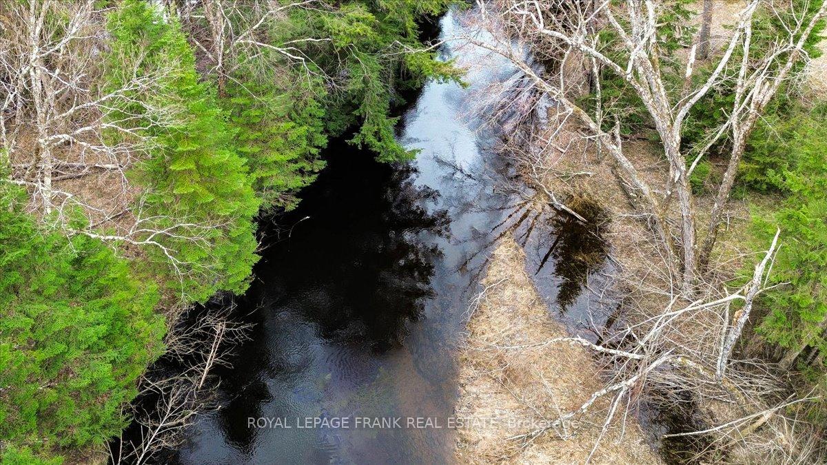 Photo 33 of 173 Lean Drive, North Kawartha — HOMEH