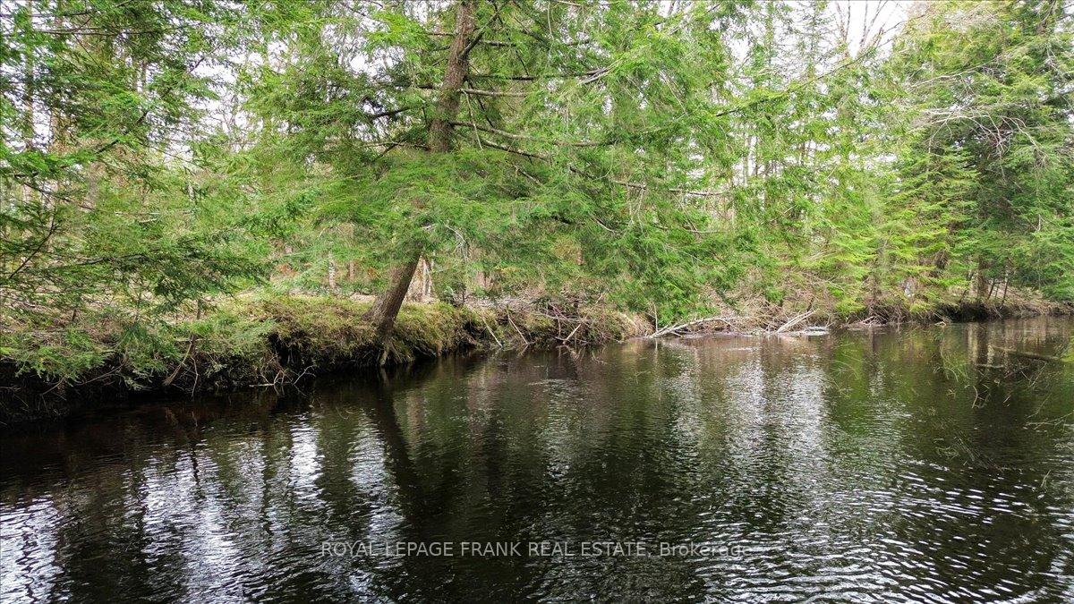Photo 34 of 173 Lean Drive, North Kawartha — HOMEH