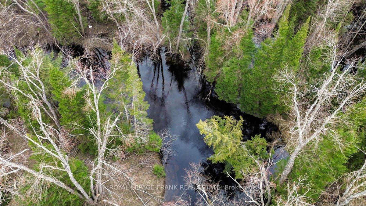 Photo 35 of 173 Lean Drive, North Kawartha — HOMEH